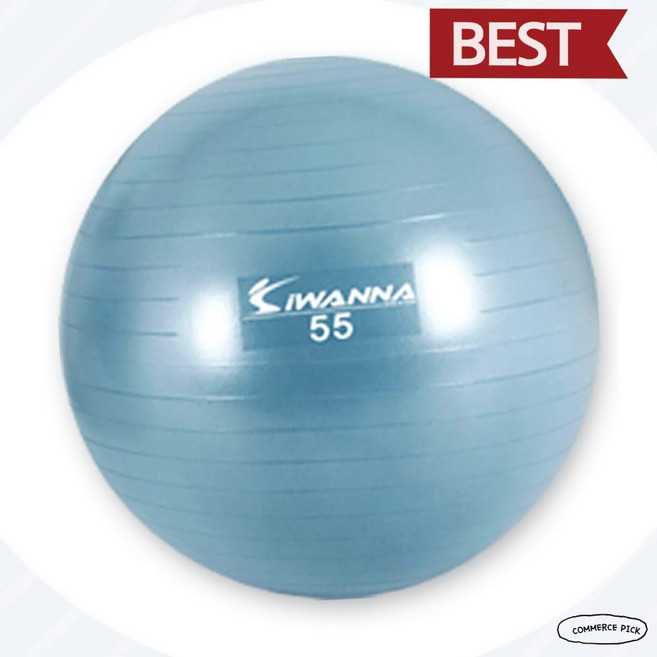 더스티블루 아이워너 다이어트 짐볼 55cm 안티버스트 임산부 요가볼 픽앤코501