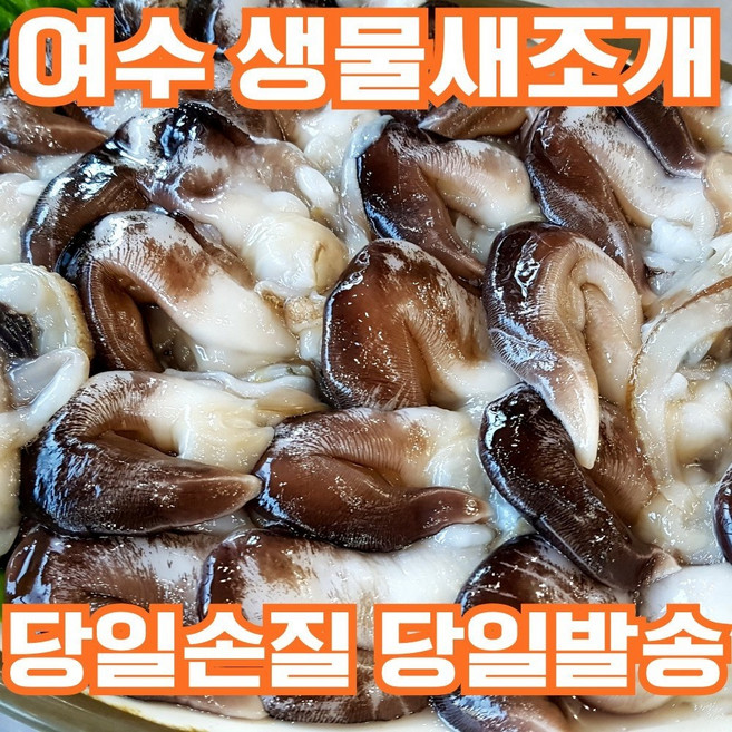 [산지직송] 여수 자연산 손질 초코 새조개, 1개, 200g