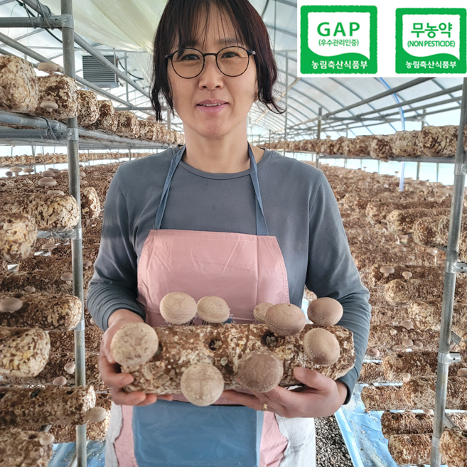 [농부직송] 25년장인 무농약 국내산 표고버섯, 1박스, 1kg (실속형)