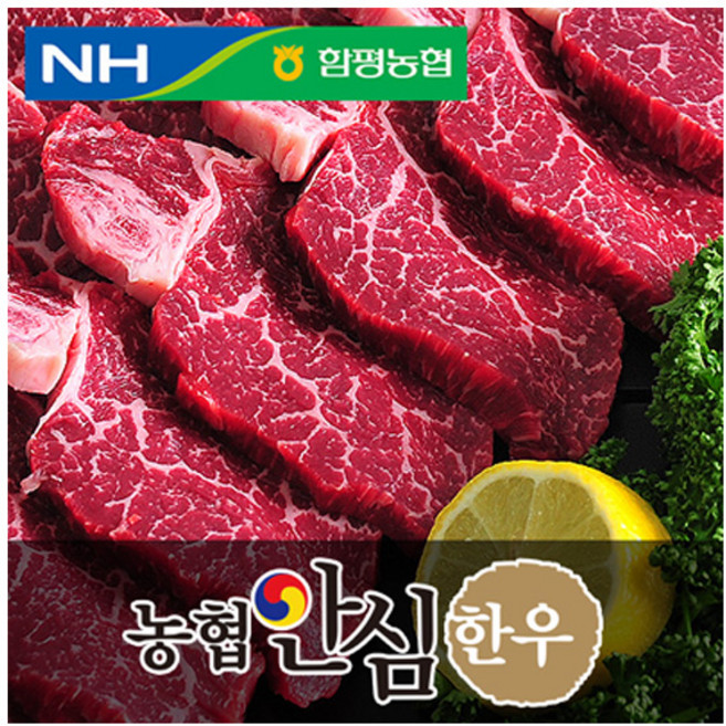 농협안심한우 안심 함평농협, 1개, 500g 덩어리(1등급)