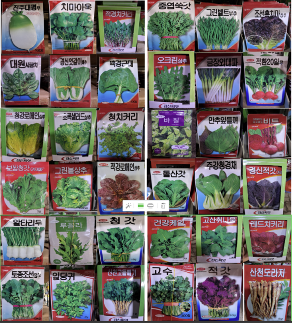 [아트플라워] 모종 씨앗, 강화순무, 1개