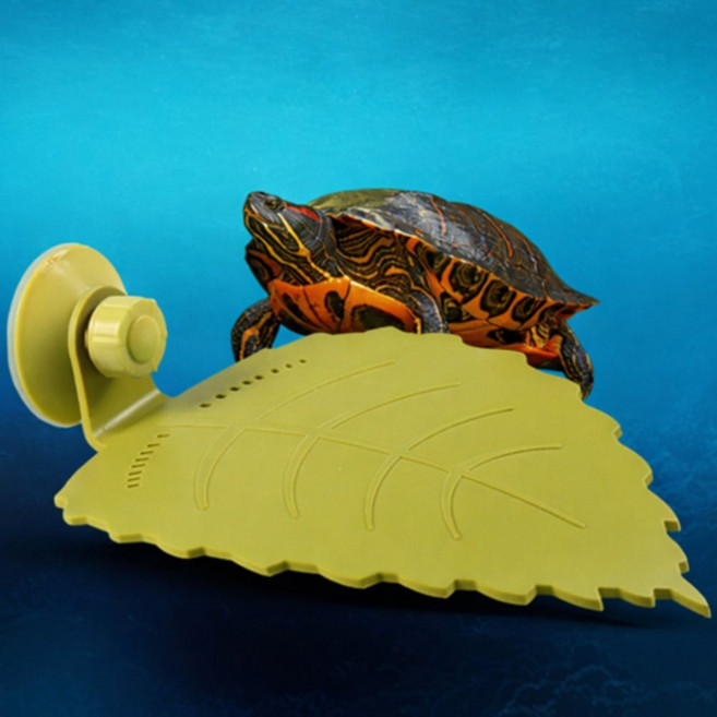 mj샾 거북이 쉼터 거북이수조인테리어