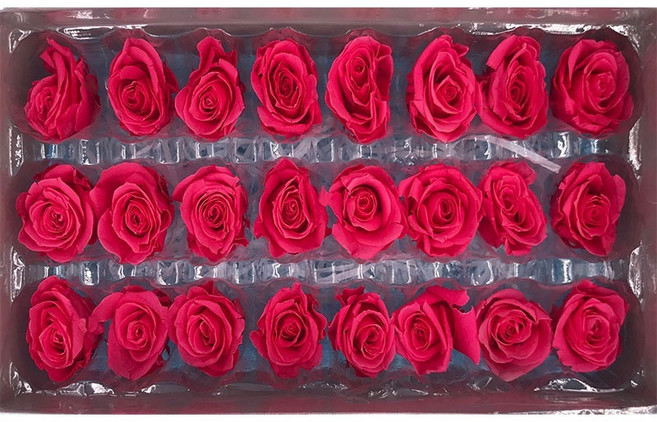 永生玫瑰花 單入 玫瑰花乾燥花 DIY 玫瑰花頭 不凋花, 003，2~3公分艷粉