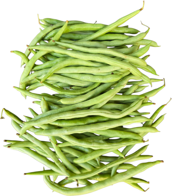 그린빈 Dau que 1kg 아시아 농장 송소희, 1개