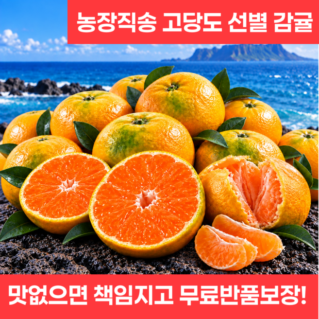 한정특가 고당도 귤 제주 감귤, 1박스, 선별10kg