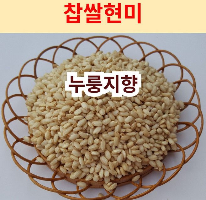 [누룽지향 찹쌀현미] 향찰현미 현미찹쌀 설향찰 직접농사지은쌀 산지직송 모이랑, 5kg, 1개