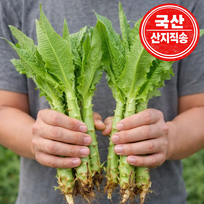 [충북 산지직송] 국내산 GAP 인증 신선 생궁채, 1kg, 1kg