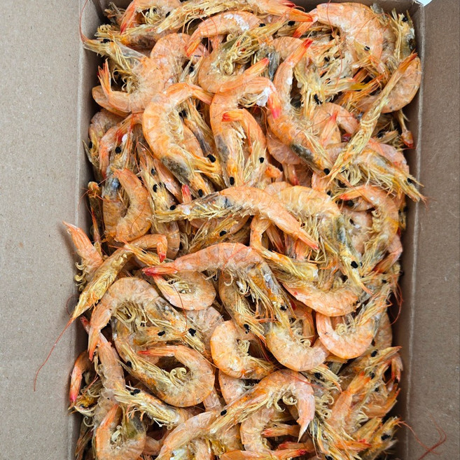 [바다찬미] 2026년 국내산 햇 국물새우 육수용 국물용 건새우, 1박스, 1.5kg