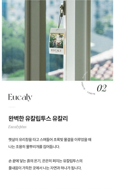 듀이홀릭 비듀이 퍼퓸 샤쉐 차량용 에어 프레셔너 5종, 유칼리, 1개, 40g