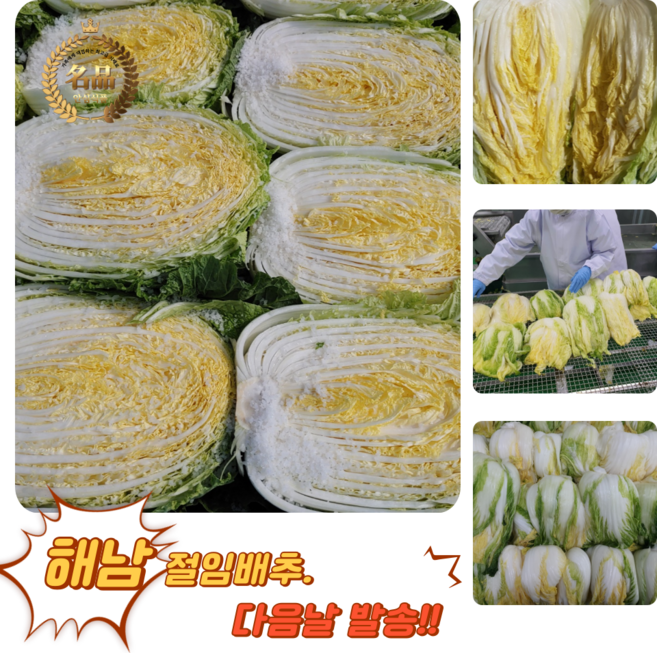[굿피플] 절임배추 해남절임배추 맛있는절임배추 배추절임 김장배추 괴산절임배추 강원도배추, 20kg, 1개