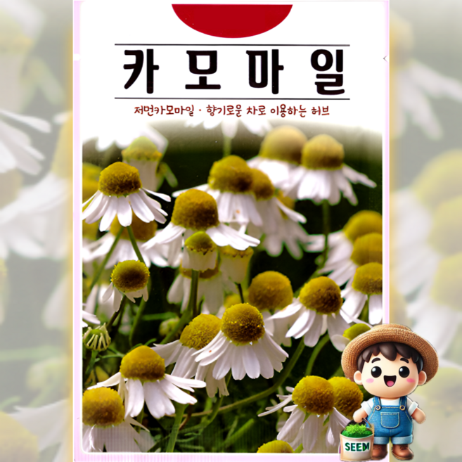 KS종묘 카모마일 1000립 저먼카모마일 독일카모마일 식용꽃 허브 꽃씨 씨앗 종자, 1개