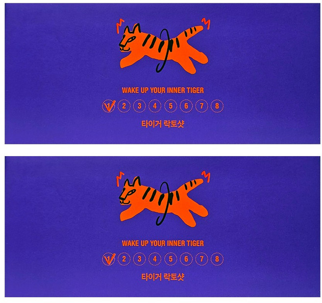 타이거모닝 락토샷 진저샷 애사비 계피, 40g, 16개