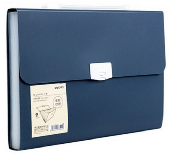 델리 린피니 스타일리쉬 도큐먼트 12분류 파일백 72593, 1개