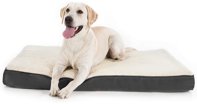 메모리 스펀지 펫 매트 사계절 공용 고양이 강아지 애견 용품, 회백색, 1개