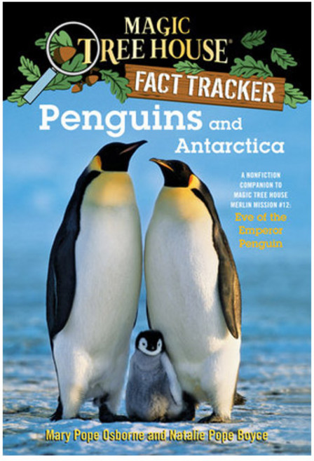 영문 영어 유아 도서 Magic Tree House Fact Tracker #18 : Penguins and Antarctica Paperback 1563728, 영문 영어 유아 도서 Magic Tree House F