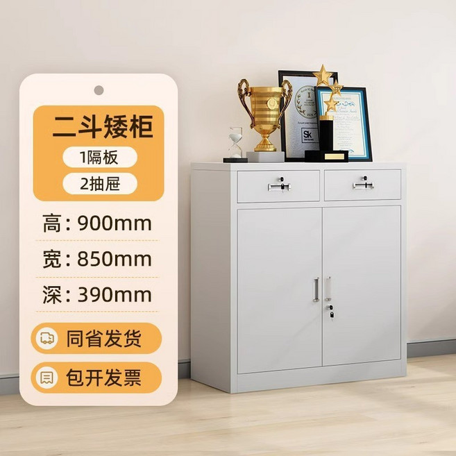 憑證櫃 文件櫃 財務檔案櫃 辦公室資料櫃 儲物櫃 鐵皮櫃 附鎖 高1800mm 寬850mm 深390mm, 二鬥矮櫃,常規款