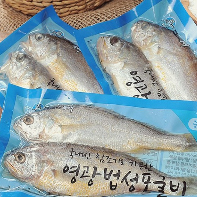 영광 법성포 굴비조기 진공 냉동굴비 16미, 1개