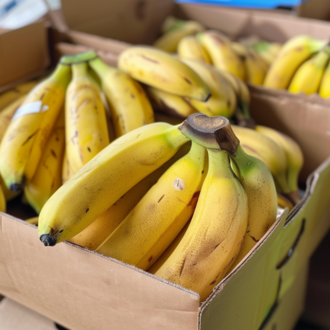 고당도 바나나 1송이 2송이 3송이 돌바나나, 1개, 바나나 1수