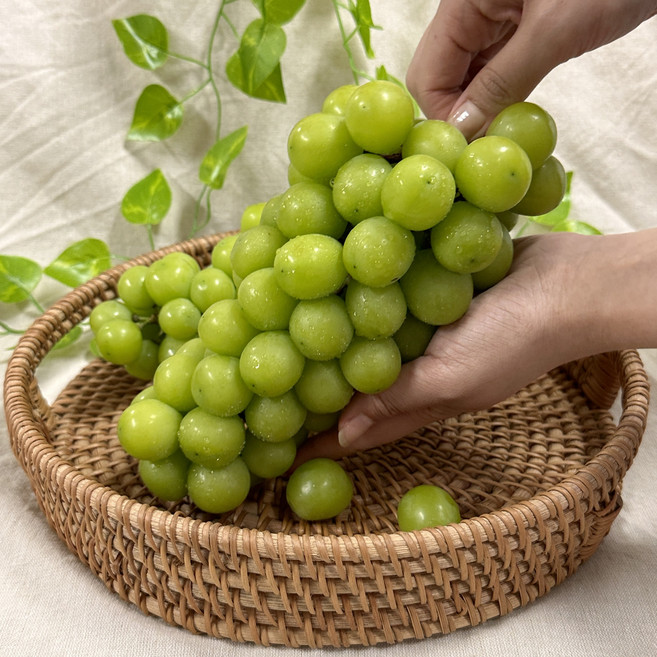 프리미엄 고당도 샤인머스켓, 1박스, 샤인머스켓 1kg 내외 (2수)