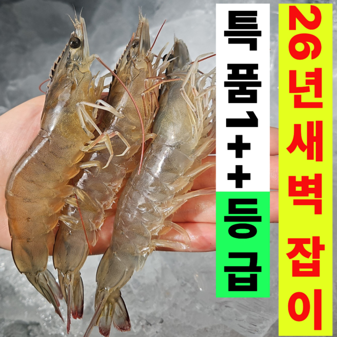 [1++등급26년새우] 국산 횟감새우 생새우 활새우, 1개, 1kg