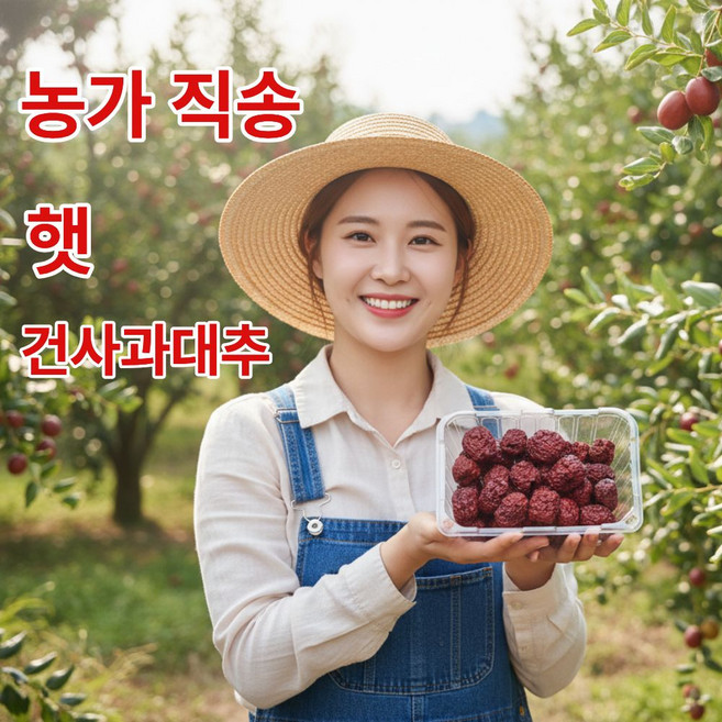더맛곳간 국산 건 대추 말린 사과대추 국내산 제수용, 1개, 대 500g
