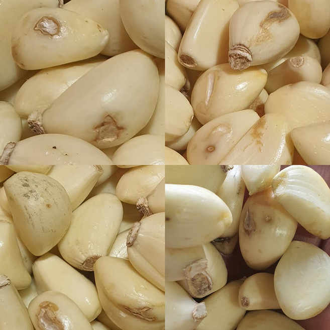 국산 깐마늘 못난이 파지 B급 가성비갑 창녕 마늘 kg, 1개, 3KG