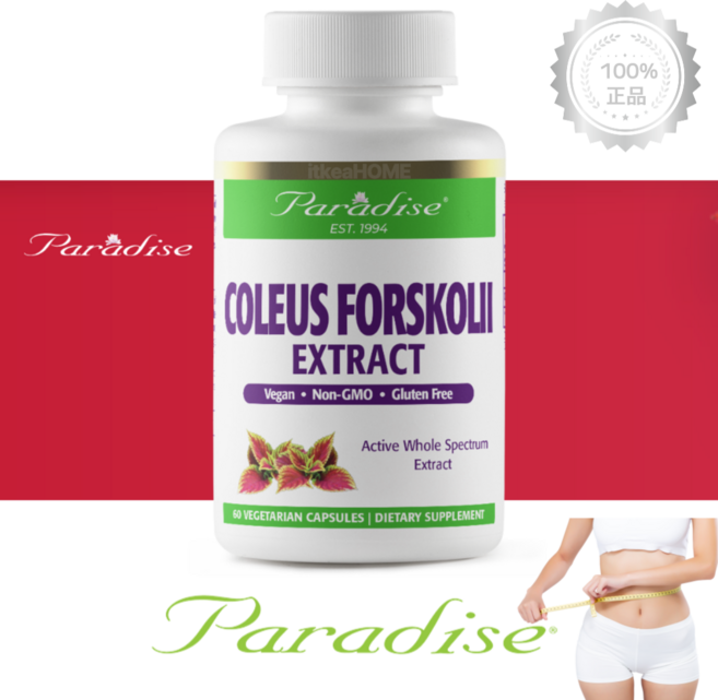 파라다이스 허브 콜레우스포스콜리 250mg 60캡슐 포스콜린 빨간맛 다이어트 아유르베다, 1개, 60정