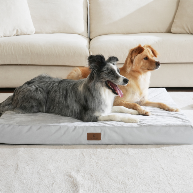 홀릭하임 대형견 슬개골 보호 에그폼 커버분리형 사각 방석 01 L ~ 2XL, 그레이, 1개