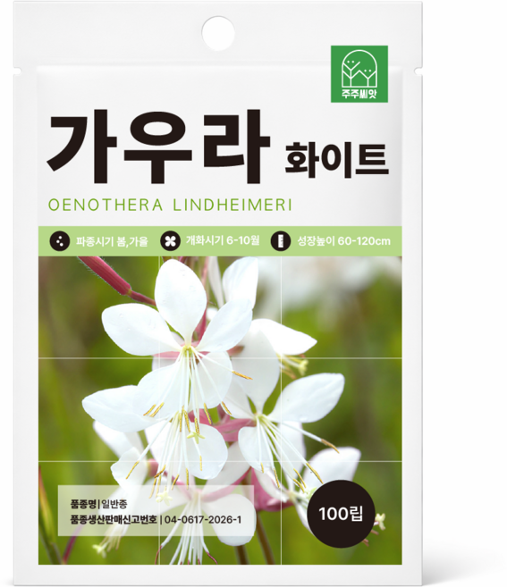 주주씨앗 가우라 씨앗 100립 노지월동 다년생 나비 바늘꽃 종자 꽃씨앗, 1개