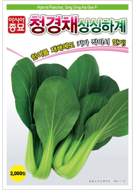 아시아종묘 씨앗 청경채 싱싱하계 600g, 1개