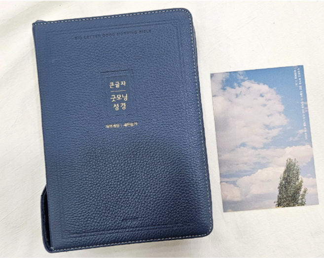 큰글씨 천연 가죽 성경책 개역개정 새찬송가 큰글 큰글자 성경, 5.큰글자굿모닝성경[대] - 잉키블루