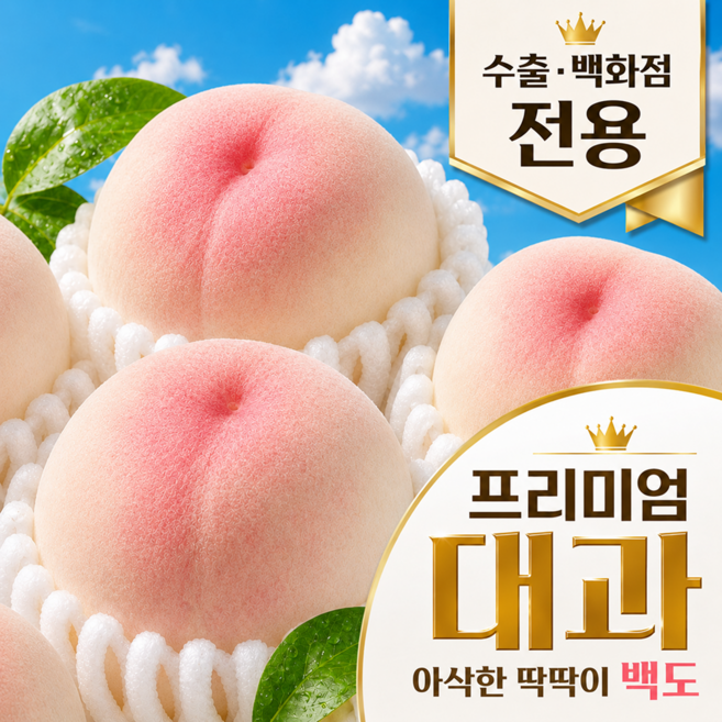 [백화점납품용] 당도선별 최상급 대과 딱딱이복숭아, 1세트, 수출용 백도 3kg 대과