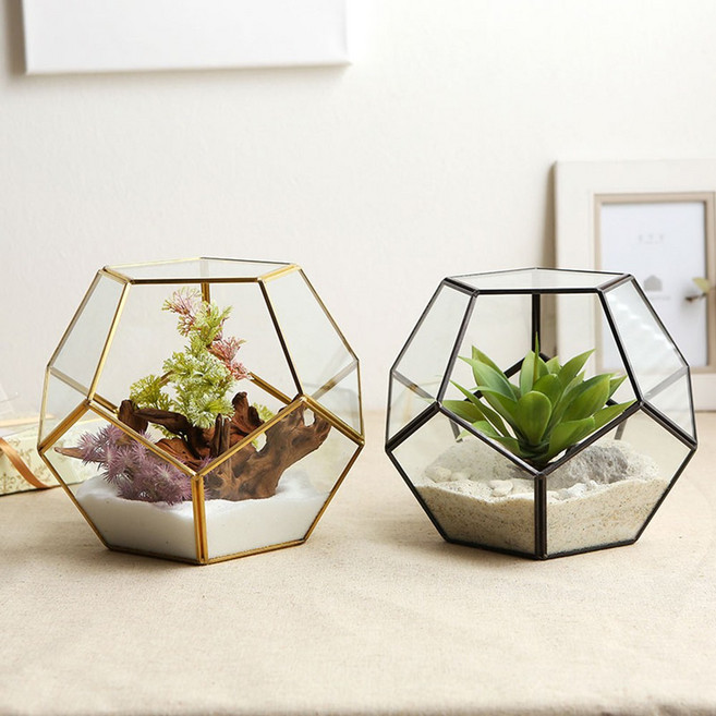 풋볼 테라리움 행잉플랜트(소), 색상:블랙풋볼행잉플랜트(소)SH03507, 1개