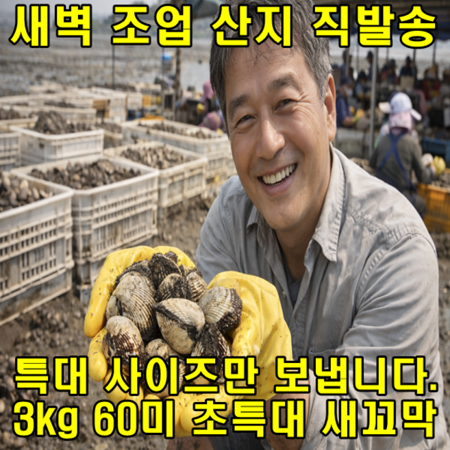 (특가) 작은 사이즈x 초특대 새꼬막 3kg 쿠팡행사 45~75미 내외, 1세트