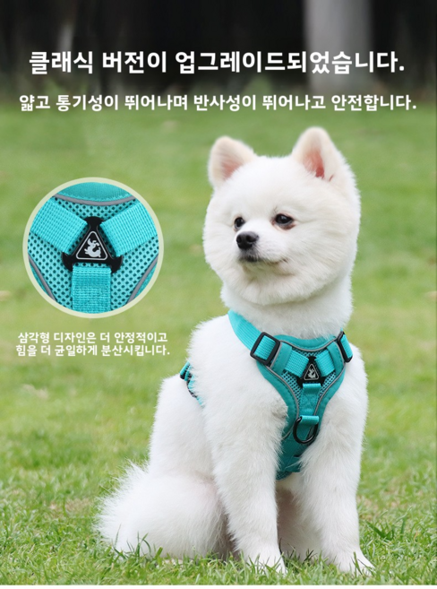 해피펫밀리 데이지 하네스 리드줄 세트, 호수 파랑, 1