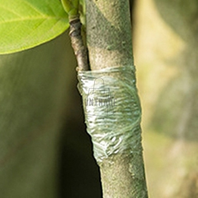 다있으예 원예용 접목 비닐테이프 접목테이프, 10cm