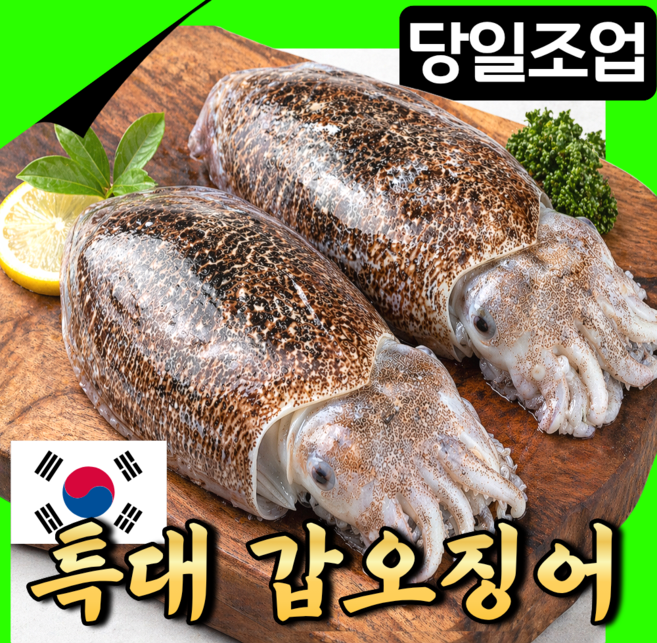 [당일조업] 생물 갑오징어 국내산 특대사이즈 선주직발송 특품선별, 1박스, 1kg 특대 2~3미