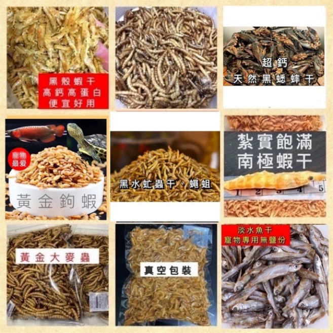 綜合乾燥昆蟲飼料：蠅蛆、鳳凰蟲、南極蝦、麵包蟲、大麥蟲 烏龜爬蟲營養美食, 1個, 黑水虻乾100克