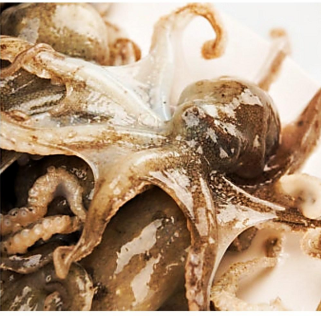 판매1위 정말 맛있고 싱싱한 쭈꾸미볶음 1.8Kg 300g*6팩 대박상품!!!(무료배송)