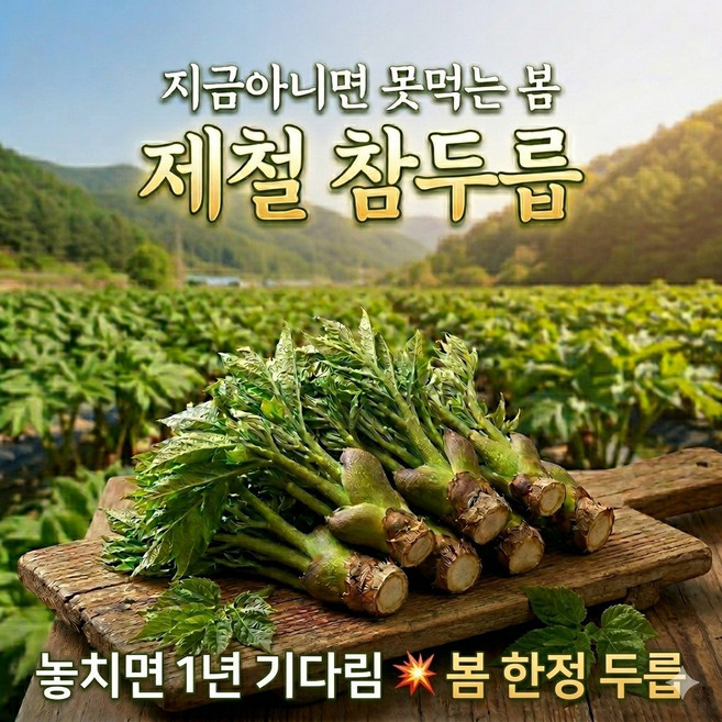 봄제철 산나물 국내산 자연산 참두릅, 1개, 1kg