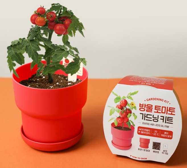 가드닝키트-방울토마토