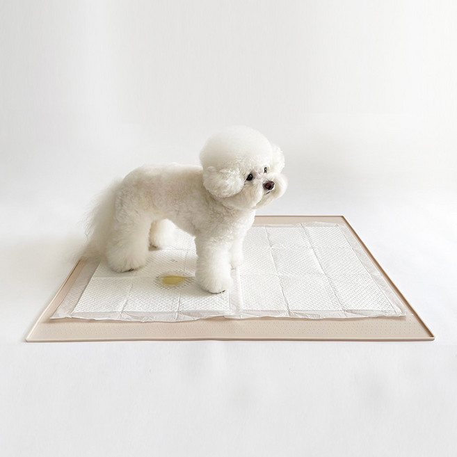 코코의집 반려동물 논슬립 실리콘 배변매트, 베이지, 1개