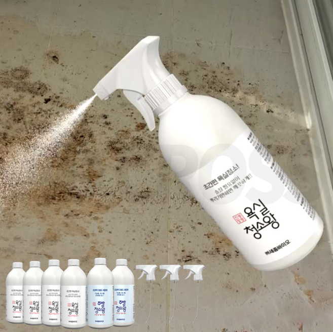 애드크로스 신통방통 욕실청소왕 주방청소왕 다목적 세정제, 500ml, 6개