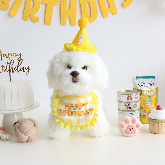 이벤트홀릭 강아지 고양이 생일파티용품 케이프 숫자고깔 세트, 옐로우, 1세트