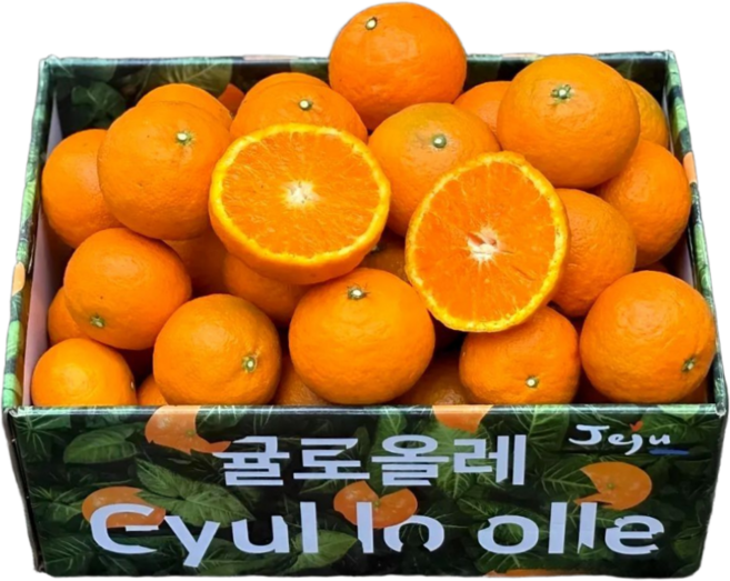 제주 산지직송 햇 카라향 고당도 16Brix 당도선별 로얄과, 1박스, 로얄과 2kg