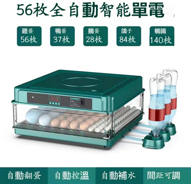全自動智能孵蛋器 128枚容量 抽屜式孵化箱, 56枚單電【自動上水+自動翻蛋】, 1個