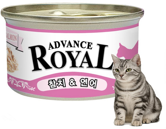 로얄 어드밴스캔 고양이캔, 85g, 연어, 24개