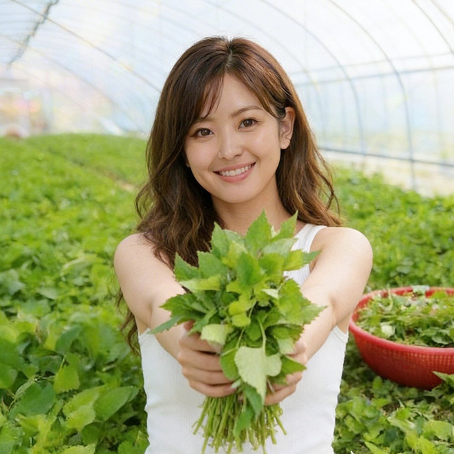 진한향 알싸한맛 제주 생취나물 부지깽이 취나물 봄나물 생나물, 1개, 2kg