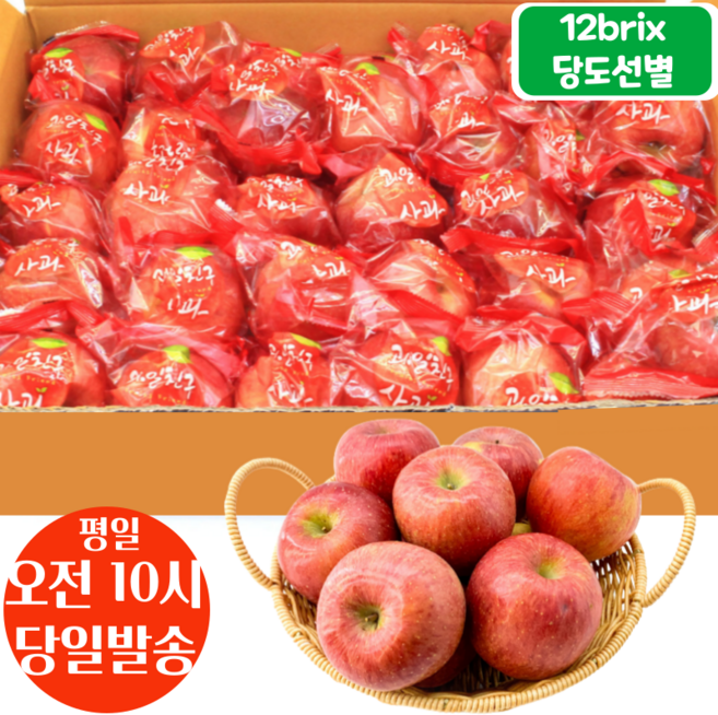 평일오전10시 주문건 당일발송 12브릭스 당도선별 세척사과, 5kg (27~34입), 1개