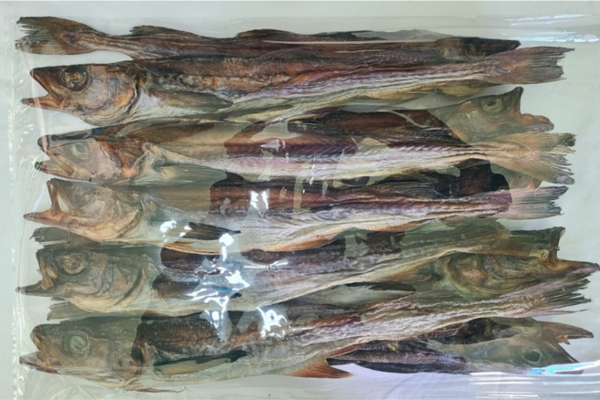 강원도 국내자연건조 언바람 묵호태 프리미엄 명품 고사용 북어 통북어 10미 먹태 못난이 파지, 1개, 대(42~45cm)파지